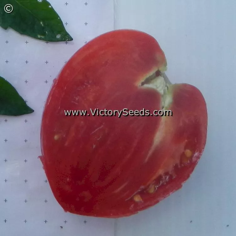 Fish Lake Oxheart Tomato