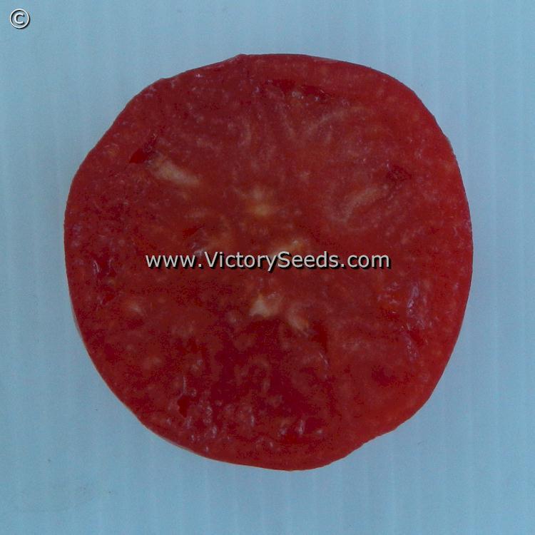 Mullens' Mortgage Lifter Tomato
