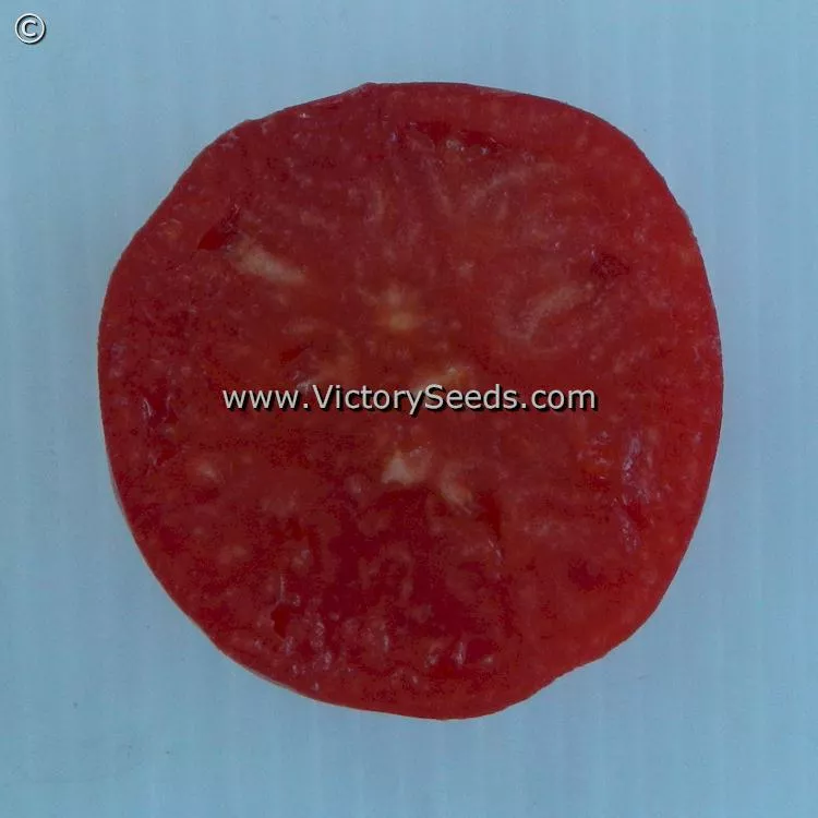 Mullens' Mortgage Lifter Tomato