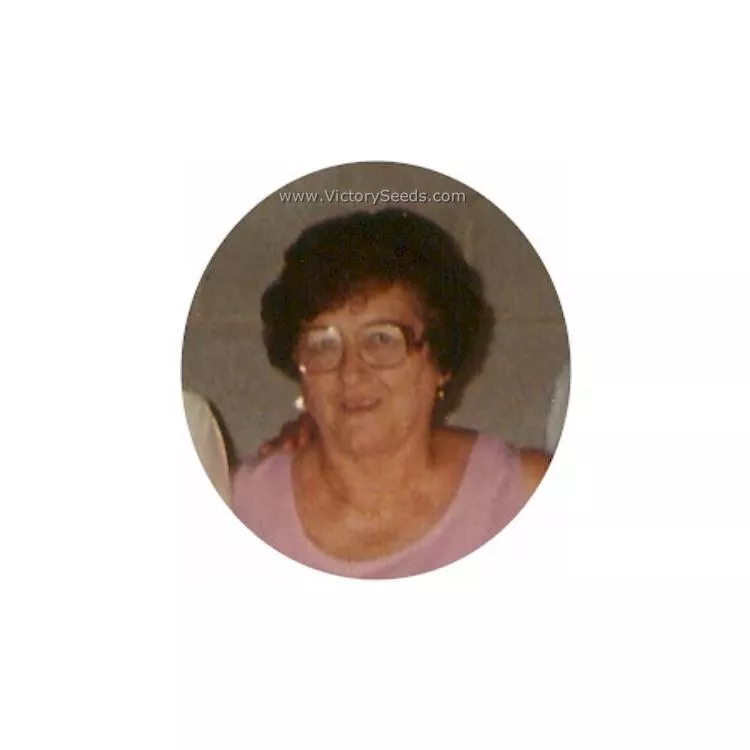 Aunt Hettie's Red Okra