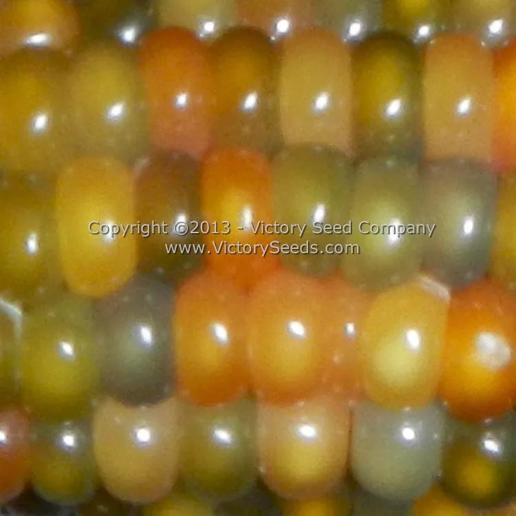 Glass Gem Popcorn