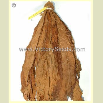 Big Gem Tobacco