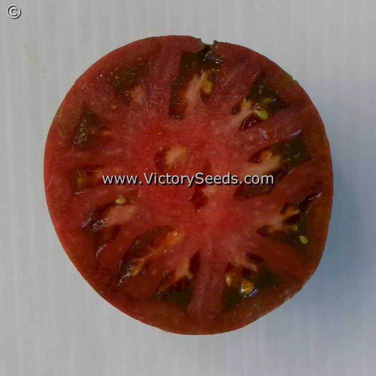 Dwarf Chocolate Heartthrob Tomato