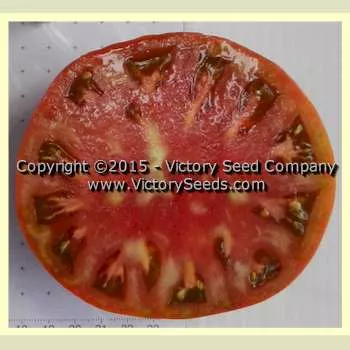 Dwarf Mahogany Tomato