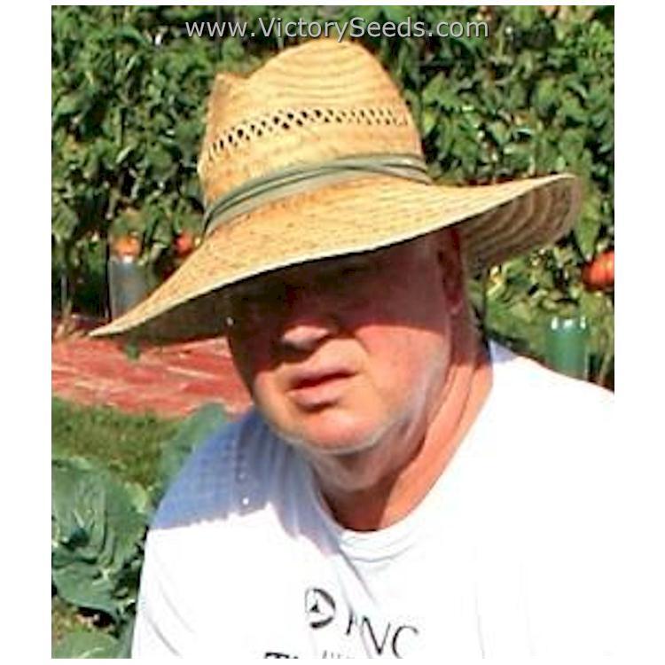Aker's West Virginia Tomato