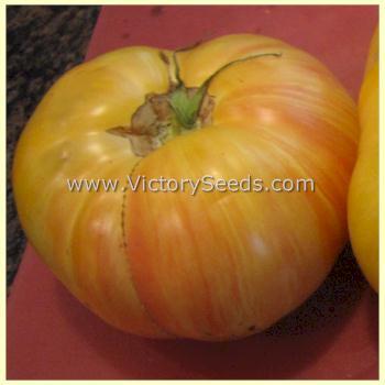 Dwarf Confetti Tomato