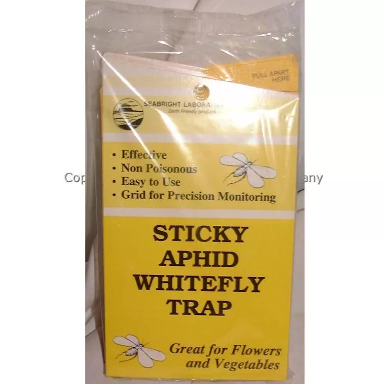 Yellow Sticky Aphid Whitefly Traps (Qty 5)