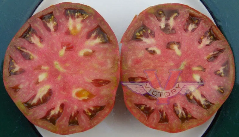 Chocolate Lightning Tomato