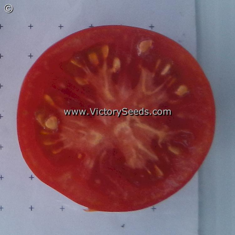 Alpatieva 905A Tomato