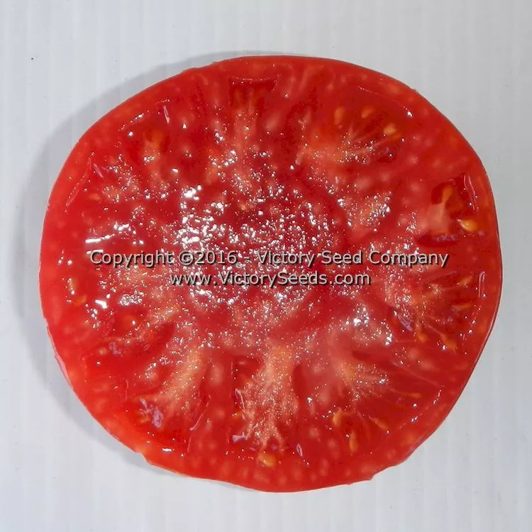 Polish Tomato