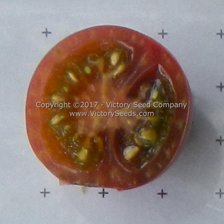 Black Cherry Tomato