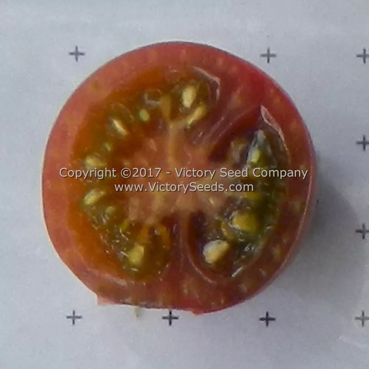 Black Cherry Tomato
