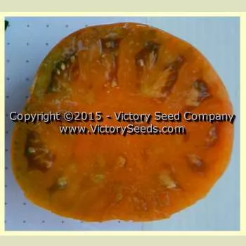 Uluru Ochre Tomato