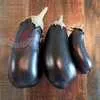 Florida Market Eggplant