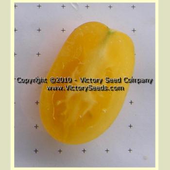 J. Walsh Tomato
