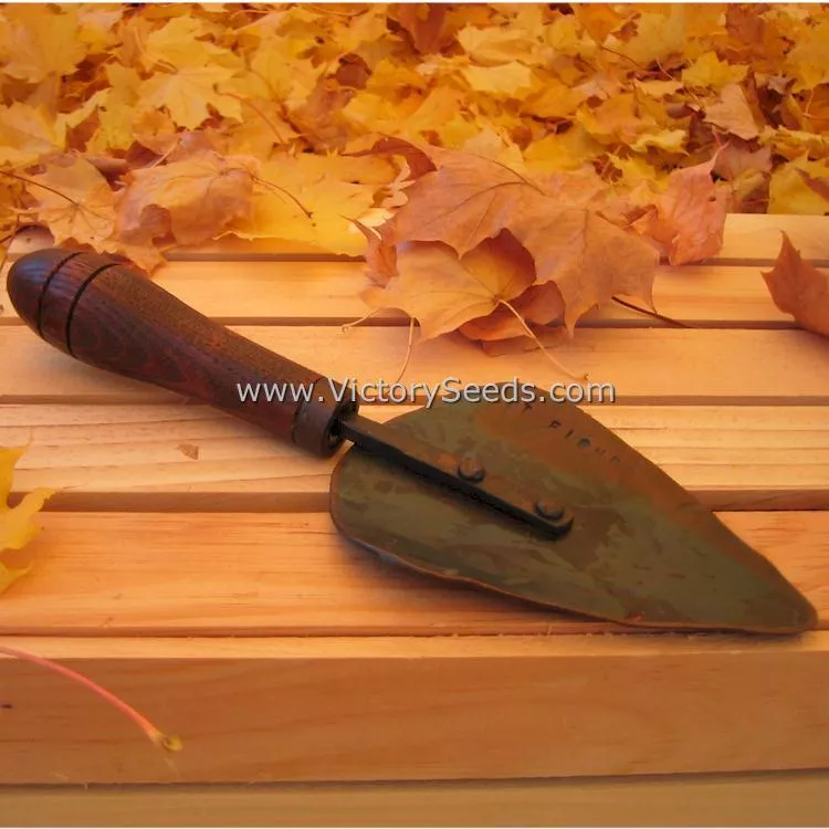 Wide Garden Trowel