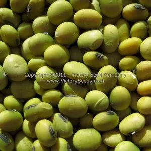 Geant Vert Soybean