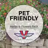 Pet-Friendly Herb and Flower Garden Pack