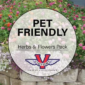 Pet-Friendly Herb and Flower Garden Pack