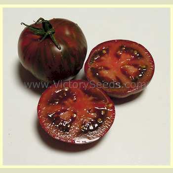 Sarandipity Tomato