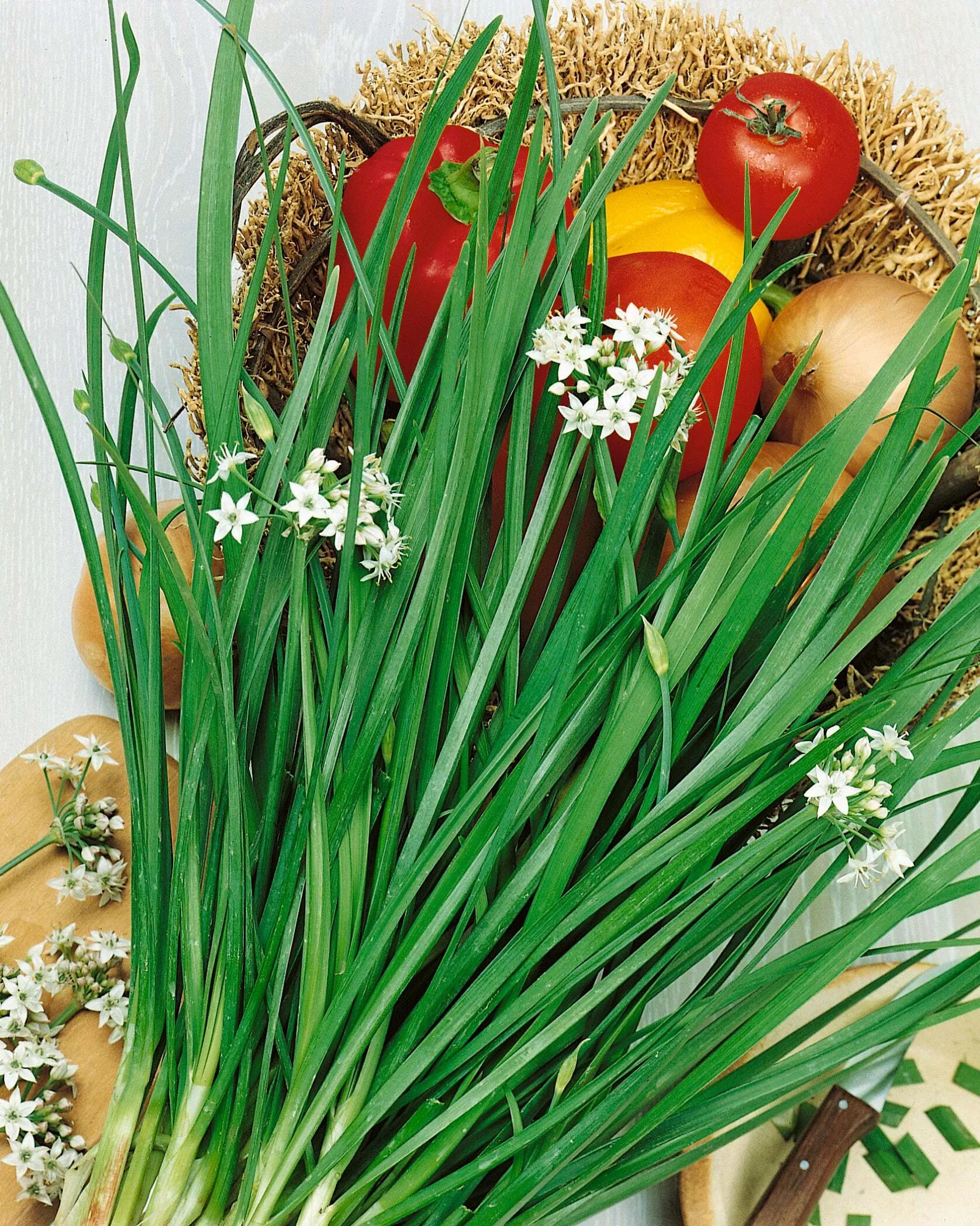 Chives, Garlic