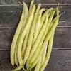 Gold Rush Yellow Wax Garden Bean
