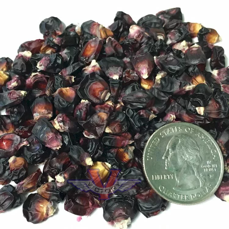Double Red Sweet Corn