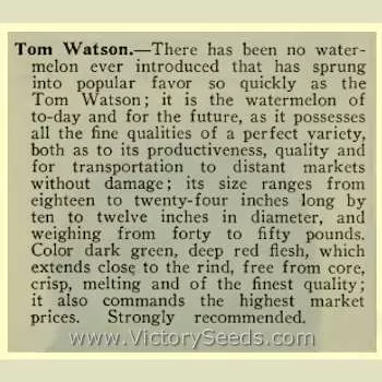Tom Watson Watermelon