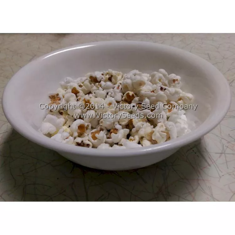 Glass Gem Popcorn