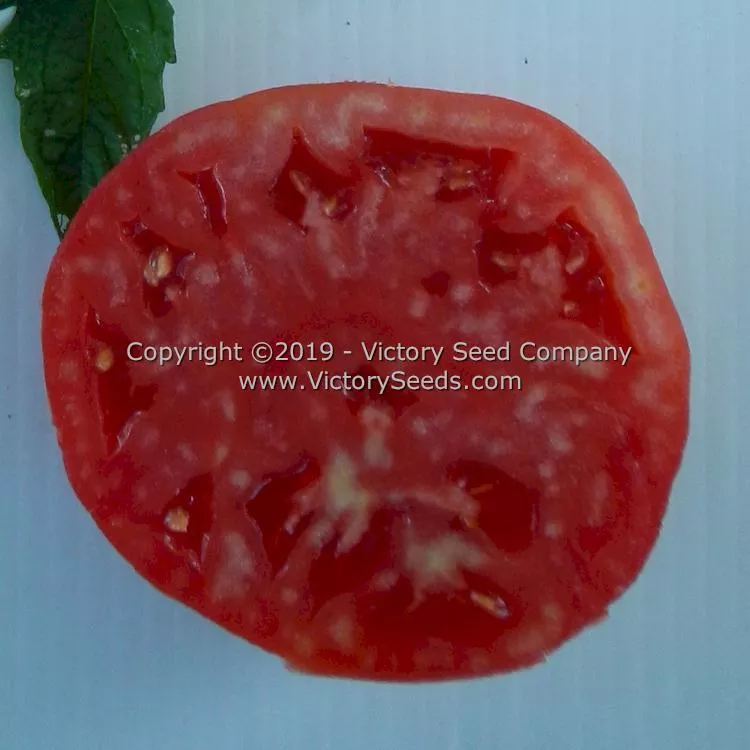 A. Z. Cutler Tomato
