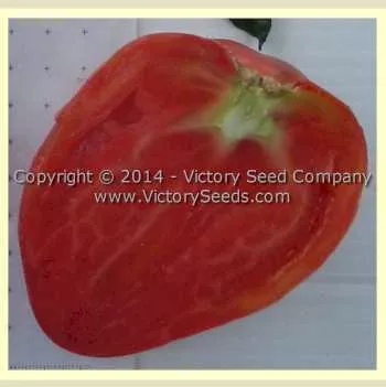 Kim's Civil War Oxheart Tomato