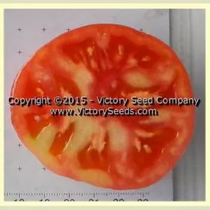 Sweet Adelaide Tomato