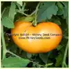Orange Heirloom Tomato