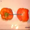 Orange King Bell Pepper