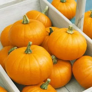 Spookie Pumpkin