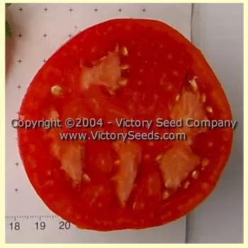 Burpee's Table Talk Tomato