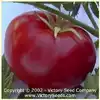 Livingston's Honor Bright Tomato