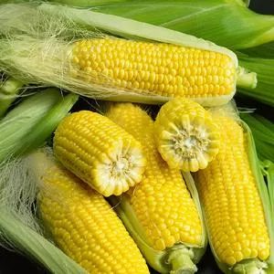Golden Bantam Sweet Corn
