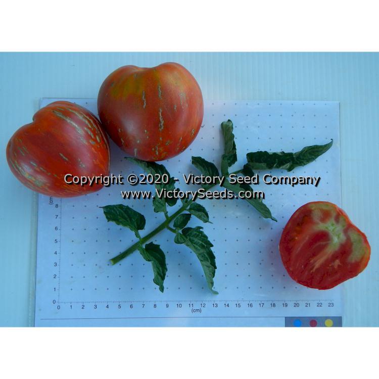 Dwarf Speckled Heart Tomato