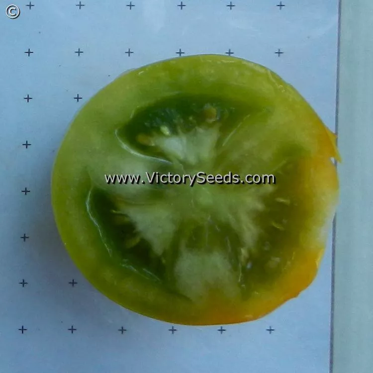 Lime Green Salad Tomato