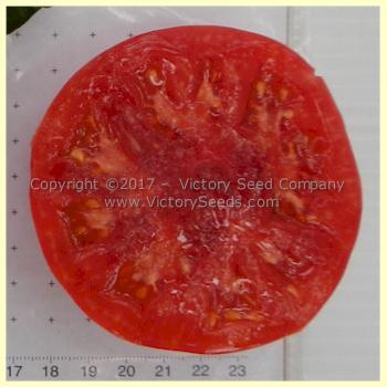 Willa's Cariboo Rose Tomato