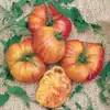 Big Rainbow Tomato