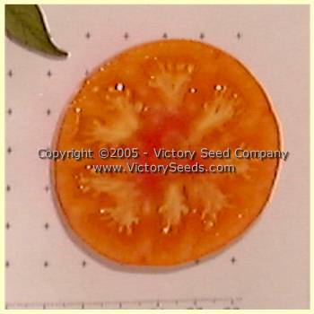Bi-color Cherry Tomato