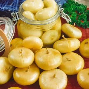 Borettana Cipollini Yellow Onion