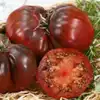 Black Krim Tomato