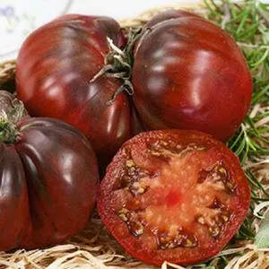 Black Krim Tomato