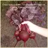 Bull's Blood Beet