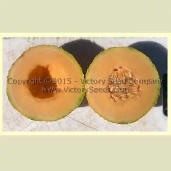 Pike Melon