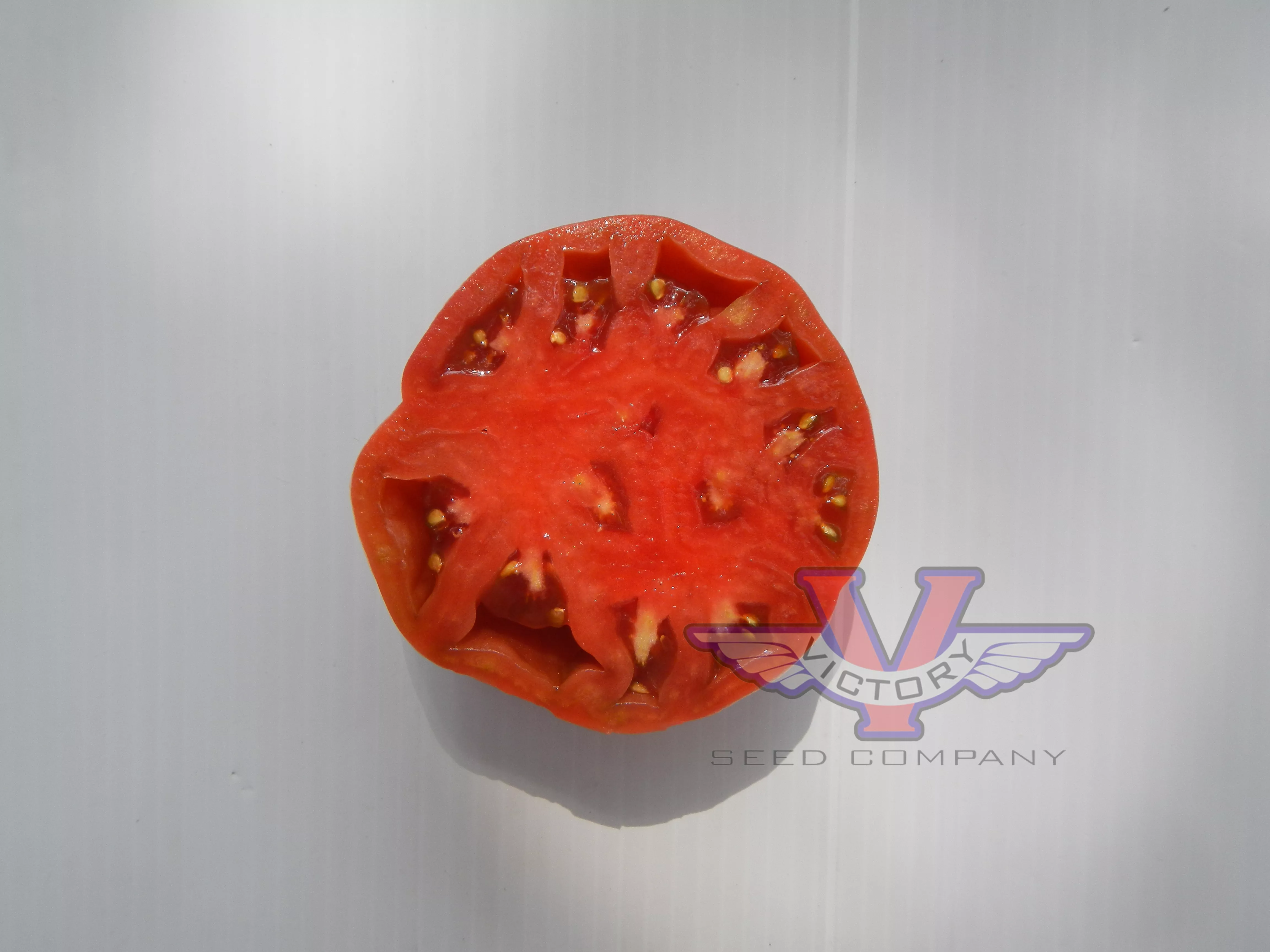 Price's Purple Tomato