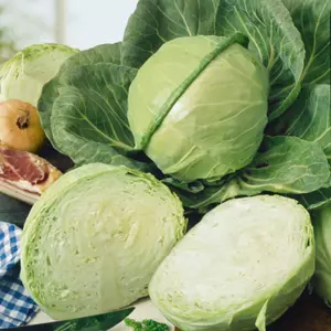 Golden Acre Cabbage